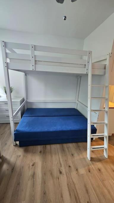 קובורג Appartement Direkt Am Fluss מראה חיצוני תמונה